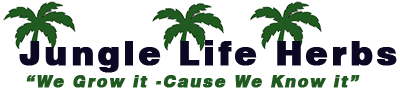 Jungle Life Herbs - for Healthier Life